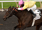 New Owner for Native Bombshell in Bessarabian New Owner for Native Bombshell in Bessarabian