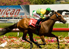 Necessary Evil Back With Fillies for Sorrento Necessary Evil Back With Fillies for Sorrento