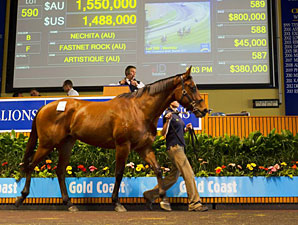 Patinack Sparks 'Epic' Day at Magic Millions Patinack Sparks 'Epic' Day at Magic Millions