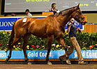 Patinack Sparks 'Epic' Day at Magic Millions