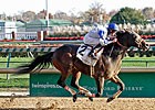Injury Threatens Neck 'n Neck's Racing Career Injury Threatens Neck 'n Neck's Racing Career