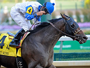 Neck 'n Neck Romps in Matt Winn Neck 'n Neck Romps in Matt Winn