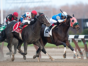 Nefertini Too Tough for Willet in Go for Wand Nefertini Too Tough for Willet in Go for Wand