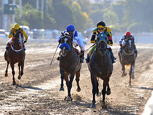Rubio B. Stable Big Winner in Argentina Rubio B. Stable Big Winner in Argentina