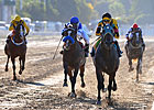Rubio B. Stable Big Winner in Argentina Rubio B. Stable Big Winner in Argentina