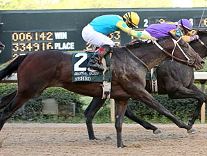 Derby Contender Nehro Breezes at Churchill Derby Contender Nehro Breezes at Churchill