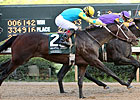 Derby Contender Nehro Breezes at Churchill Derby Contender Nehro Breezes at Churchill