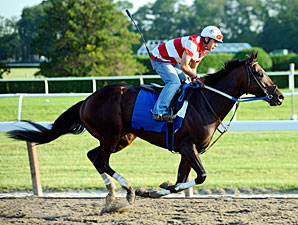 Derby Runner-Up Nehro Breezes at Belmont Derby Runner-Up Nehro Breezes at Belmont