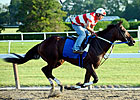 Triple Crown Talk: Belmont 143 Picks Triple Crown Talk: Belmont 143 Picks