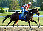 Ankle Chip Sidelines Nehro for Three Months Ankle Chip Sidelines Nehro for Three Months