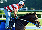 Haskin's Belmont Report: Is It Nehro's Time?