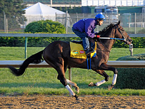 Nehro to Pass Preakness, Wait for Belmont Nehro to Pass Preakness, Wait for Belmont