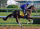 Nehro to Pass Preakness, Wait for Belmont Nehro to Pass Preakness, Wait for Belmont