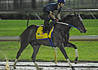 Santiva, Nehro, Watch Me Go on the Track