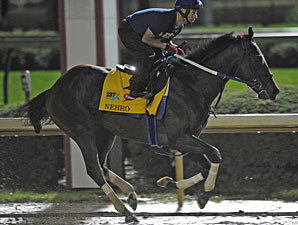 Nehro Carries Zayat's Hopes in Derby 137 Nehro Carries Zayat's Hopes in Derby 137