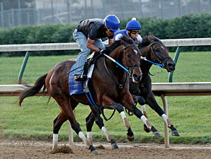 A Nehro Win Would be Brilliant for Goodman A Nehro Win Would be Brilliant for Goodman