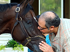 Nehro, Second in 2011 Kentucky Derby, Dead Nehro, Second in 2011 Kentucky Derby, Dead