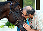 Nehro, Second in 2011 Kentucky Derby, Dead Nehro, Second in 2011 Kentucky Derby, Dead