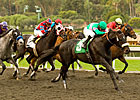 Neko Bay Rides Late Wave to San Pasqual Win Neko Bay Rides Late Wave to San Pasqual Win