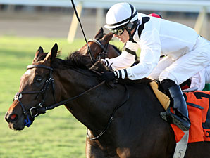 Nellie Cashman Heads Pin Oak Valley View Nellie Cashman Heads Pin Oak Valley View