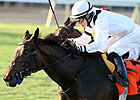 Nellie Cashman Heads Pin Oak Valley View Nellie Cashman Heads Pin Oak Valley View