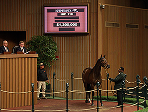 GI Winner Nereid Fetches $1.3 Million GI Winner Nereid Fetches $1.3 Million