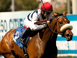 Wilshire: American Oaks Winner Nereid Returns Wilshire: American Oaks Winner Nereid Returns