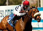 Nereid Out of Filly & Mare Turf Nereid Out of Filly & Mare Turf