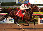 Nevada Kid Rolls in Claiming Crown Jewel Nevada Kid Rolls in Claiming Crown Jewel