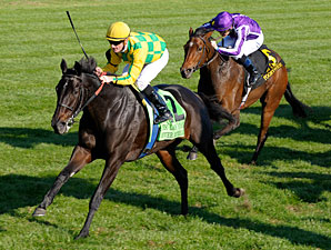 Never Retreat Decisive Winner of First Lady Never Retreat Decisive Winner of First Lady