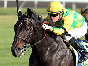 Never Retreat Canada's Horse of the Year Never Retreat Canada's Horse of the Year