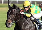 Never Retreat Canada's Horse of the Year Never Retreat Canada's Horse of the Year