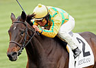 Sip of Saratoga: Fabulous Families