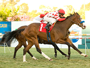 Neversaidiwassweet Spices Up Miesque in Win Neversaidiwassweet Spices Up Miesque in Win