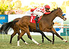 Neversaidiwassweet Spices Up Miesque in Win Neversaidiwassweet Spices Up Miesque in Win