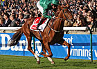 Champion New Approach to Dalham Hall