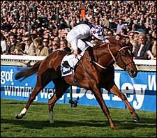 New Approach Captures Dewhurst to Remain Undefeated New Approach Captures Dewhurst to Remain Undefeated