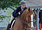 Thoroughbreds Rocked it Out at KY Horse Park