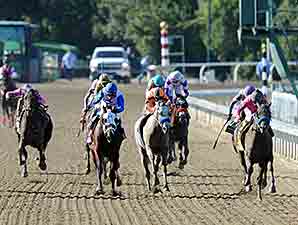 New Year's Day Pops Cork in BC Juvenile New Year's Day Pops Cork in BC Juvenile