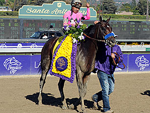 Champion 2-Year-Old Male: Who's Your Pick? Champion 2-Year-Old Male: Who's Your Pick?