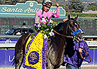 Champion 2-Year-Old Male: Who's Your Pick? Champion 2-Year-Old Male: Who's Your Pick?