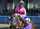 New Year's Day Tops 2013 Experimental 'Cap New Year's Day Tops 2013 Experimental 'Cap