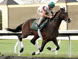 Blue Grass Hopeful Newsdad Works for Mott Blue Grass Hopeful Newsdad Works for Mott