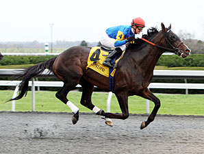 Fayette Winners Square Off in Ben Ali Fayette Winners Square Off in Ben Ali