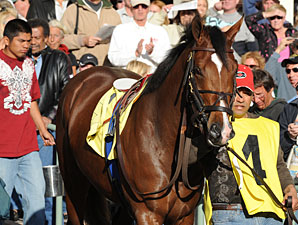 Nicanor Finishes 10th in Career Debut Nicanor Finishes 10th in Career Debut