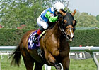 Barbaro's Brother Nicanor Breaks Maiden by 15 Barbaro's Brother Nicanor Breaks Maiden by 15