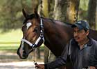 Inside Track: Great Expectations