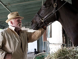 HBO Cancels 'Luck' After Third Horse Death HBO Cancels 'Luck' After Third Horse Death