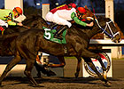San Nicola Thunder Digs In for Sir Barton Win San Nicola Thunder Digs In for Sir Barton Win