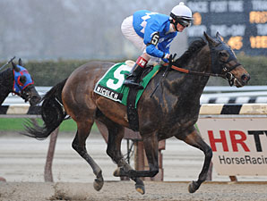 Nicole H Much the Best in Distaff Handicap Nicole H Much the Best in Distaff Handicap